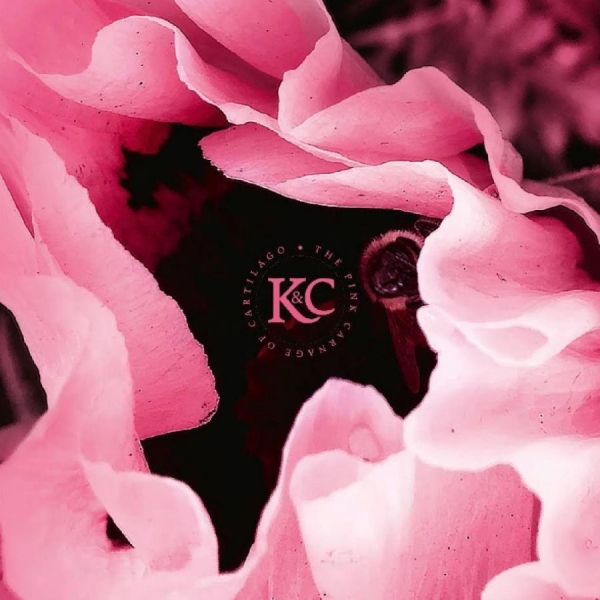 Kolman & Calvert - The Pink Carnage Of Cartilago ryhmässä VINYYLI / Pop-Rock @ Bengans Skivbutik AB (5694117)