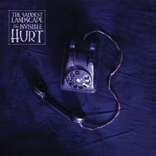 Saddest Landscape - Invisible Hurt Ep (Floral Marble Vinyl) (Rsd) ryhmässä VINYYLI / Punk @ Bengans Skivbutik AB (5694314)