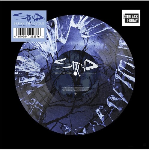 Staind - Break The Cycle (25Th Anniversary Live) (Picture Disc) (Rsd) ryhmässä VINYYLI / Kommande / Hårdrock @ Bengans Skivbutik AB (5694326)