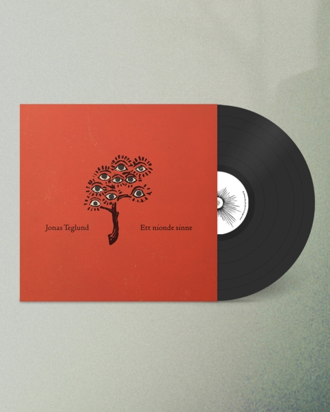 Jonas Teglund - Ett Nionde Sinne ryhmässä VINYYLI / Pop-Rock @ Bengans Skivbutik AB (5694504)