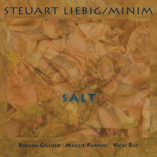 Steuart Liebig/Minim - Salt ryhmässä CD / Kommande / Jazz @ Bengans Skivbutik AB (5695074)