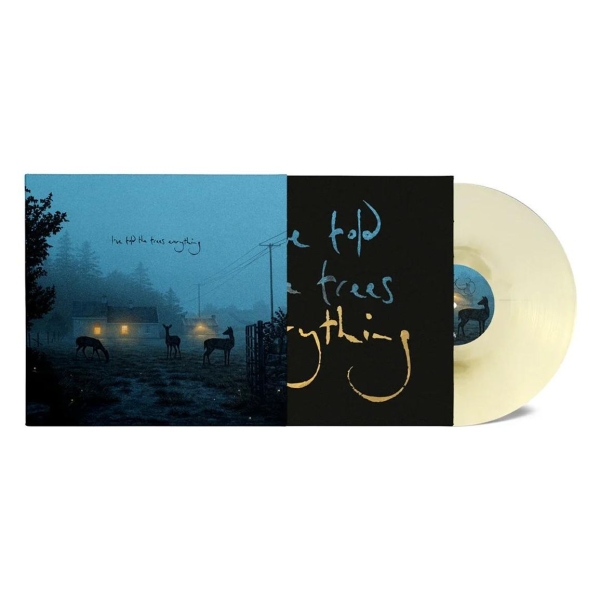 Dermot Kennedy - I've Told The Trees Everything ryhmässä VINYYLI / Pop-Rock @ Bengans Skivbutik AB (5695611)