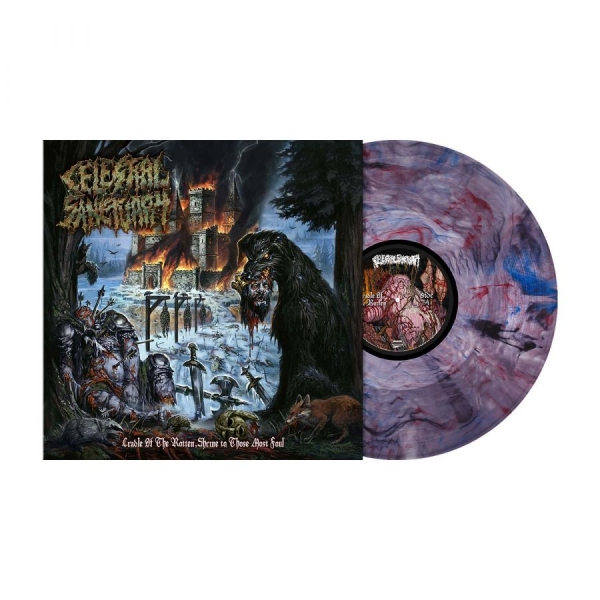 Celestial Sanctuary - Cradle Of The Rotten, Shrine To Tho ryhmässä VINYYLI / Kommande / Hårdrock @ Bengans Skivbutik AB (5696123)