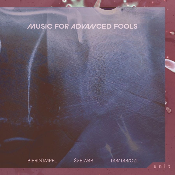 Bierdu?Mpfl / S?Vejnar / Tantanozi - Music For Advanced Fools ryhmässä VINYYLI / Kommande / Jazz @ Bengans Skivbutik AB (5696364)
