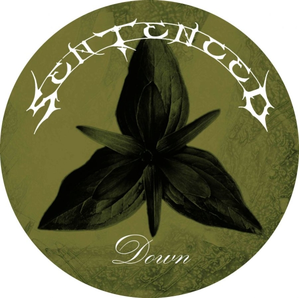 Sentenced - Down (Picture Disc Vinyl Lp) ryhmässä VINYYLI / Hårdrock @ Bengans Skivbutik AB (5696685)