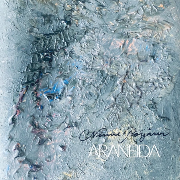 Ninni Poijärvi - Araneida ryhmässä CD / Kommande / Pop-Rock @ Bengans Skivbutik AB (5696732)