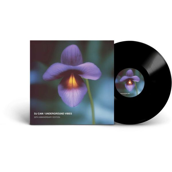 DJ Cam - Underground Vibes ryhmässä VINYYLI / Myydyimmät @ Bengans Skivbutik AB (5696939)