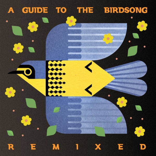 Various Artists - A Guide To The Birdsong Remixed ryhmässä CD / Eniten ennakkotilatut @ Bengans Skivbutik AB (5697668)