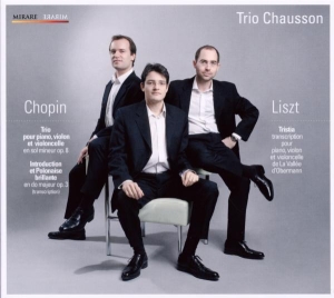 Chausson Trio - Trio Op.8/Tristia ryhmässä CD @ Bengans Skivbutik AB (570598)
