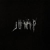 Junip - Junip ryhmässä CD @ Bengans Skivbutik AB (571233)