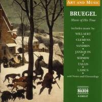 Bruegel Pieter - Bruegel: Life & Music ryhmässä CD @ Bengans Skivbutik AB (576257)