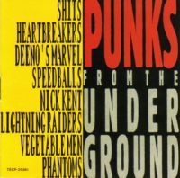 Various Artists - Punks From The Underground ryhmässä CD @ Bengans Skivbutik AB (579769)