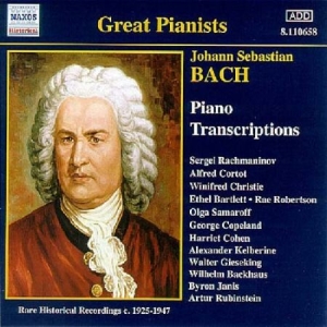 Bach Johann Sebastian - Piano Transcriptions ryhmässä CD @ Bengans Skivbutik AB (580726)
