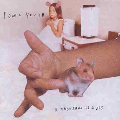 Sonic Youth - Thousand Leaves ryhmässä CD / Myydyimmät @ Bengans Skivbutik AB (581004)