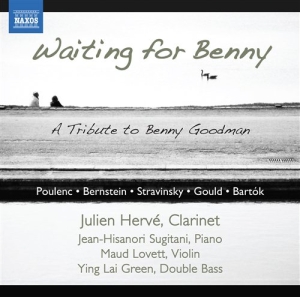 Poulenc / Bernstein / Gershwin - Clarinet Sonatas ryhmässä Externt_Lager / Naxoslager @ Bengans Skivbutik AB (581199)