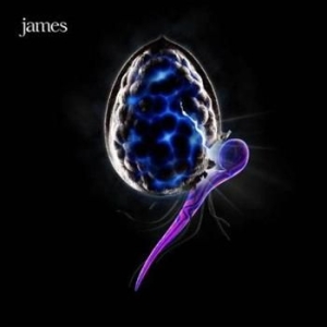 James - Night Before ryhmässä CD / Pop @ Bengans Skivbutik AB (589886)