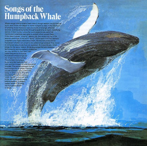Songs Of The Humpback Whale - Songs Of The Humpback Whale ryhmässä CD / Worldmusic/ Folkmusik @ Bengans Skivbutik AB (591831)