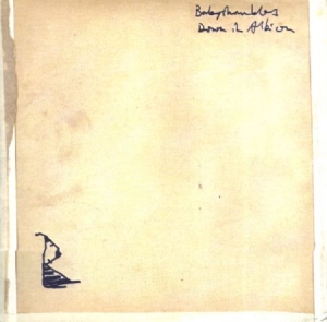 Babyshambles - Down In Albion ryhmässä CD @ Bengans Skivbutik AB (595958)