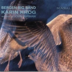 Krog Karin - Seagull ryhmässä CD @ Bengans Skivbutik AB (597390)
