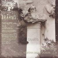 Brahms Johannes - Piano Quartet No 1 ryhmässä Externt_Lager / Naxoslager @ Bengans Skivbutik AB (599272)