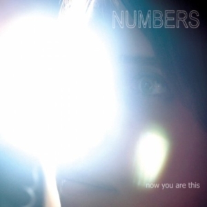 Numbers - Now You Are This ryhmässä CD / Pop-Rock @ Bengans Skivbutik AB (599863)