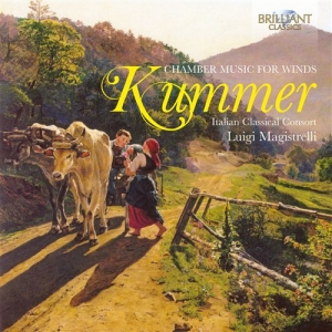 Kummer - Chamber Music For Winds ryhmässä CD @ Bengans Skivbutik AB (601609)