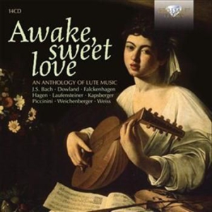 Various Artists - Awake Sweet Love ryhmässä CD @ Bengans Skivbutik AB (601630)