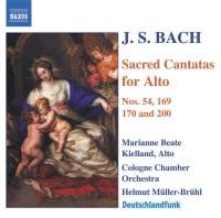Bach - Alto Cantatas ryhmässä Externt_Lager / Naxoslager @ Bengans Skivbutik AB (603063)