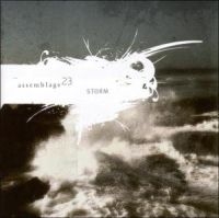Assemblage 23 - Storm ryhmässä CD @ Bengans Skivbutik AB (603524)