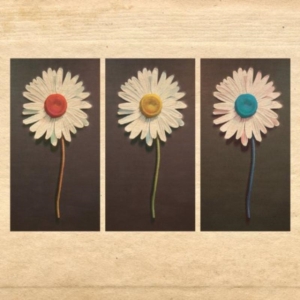 Telemachus - In The Evening ryhmässä CD @ Bengans Skivbutik AB (603908)