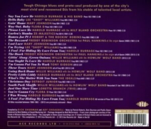 Various Artists - Foxy R&B: Richard Stamz Chicago Blu ryhmässä CD / RNB, Disco & Soul @ Bengans Skivbutik AB (606379)