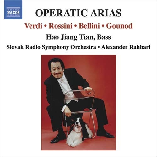 Various - Opera Arias ryhmässä Externt_Lager / Naxoslager @ Bengans Skivbutik AB (610562)
