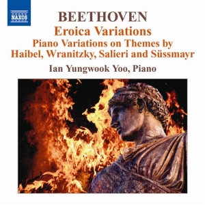 Beethoven - Piano Variations ryhmässä Externt_Lager / Naxoslager @ Bengans Skivbutik AB (620656)