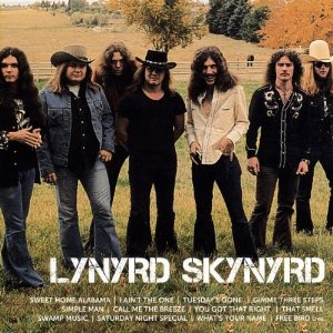 Lynyrd Skynyrd - Icon ryhmässä CD @ Bengans Skivbutik AB (622752)
