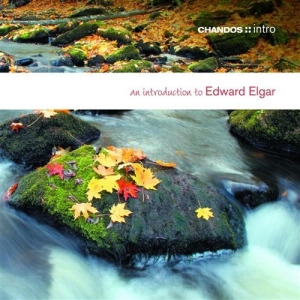 Elgar - An Introduction To ryhmässä CD @ Bengans Skivbutik AB (624482)