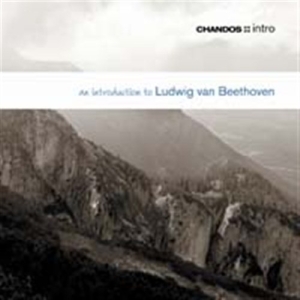 Beethoven - An Introduction To ryhmässä Externt_Lager / Naxoslager @ Bengans Skivbutik AB (624483)