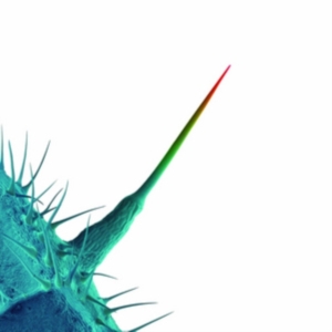 Blandade Artister - And I'll Scratch Yours (Songs By Pe ryhmässä CD @ Bengans Skivbutik AB (626258)