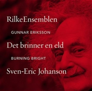 Johanson Sven-Eric - Burning Bright ryhmässä CD @ Bengans Skivbutik AB (627437)