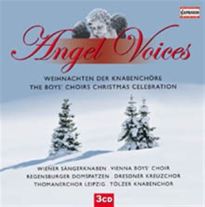 Angel Voices - The Boys Choirs Christmas ryhmässä CD @ Bengans Skivbutik AB (627447)