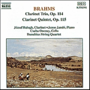 Brahms Johannes - Clarinett Trio & Quintet ryhmässä CD @ Bengans Skivbutik AB (628929)