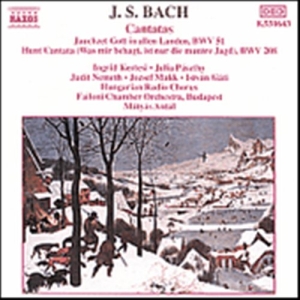 Bach Johann Sebastian - Cantatas ryhmässä Externt_Lager / Naxoslager @ Bengans Skivbutik AB (629369)