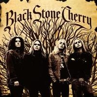 BLACK STONE CHERRY - BLACK STONE CHERRY ryhmässä CD @ Bengans Skivbutik AB (630122)