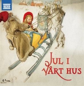 Various - Jul I Vårt Hus ryhmässä ME SUOSITTELEMME / Joulumusiikkia vinyylillä ja CD:llä @ Bengans Skivbutik AB (632365)