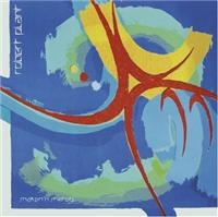 ROBERT PLANT - SHAKEN 'N' STIRRED ryhmässä CD @ Bengans Skivbutik AB (632750)