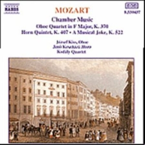 Mozart Wolfgang Amadeus - Chamber Music ryhmässä CD / Klassiskt @ Bengans Skivbutik AB (638106)