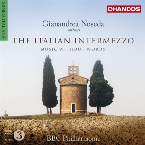 Various Composers - The Italian Intermezzo ryhmässä Externt_Lager / Naxoslager @ Bengans Skivbutik AB (639759)