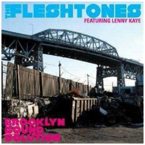 Fleshtones - Brooklyn Sound Solution ryhmässä ME SUOSITTELEMME / Klassiska lablar / YepRoc / CD @ Bengans Skivbutik AB (641088)