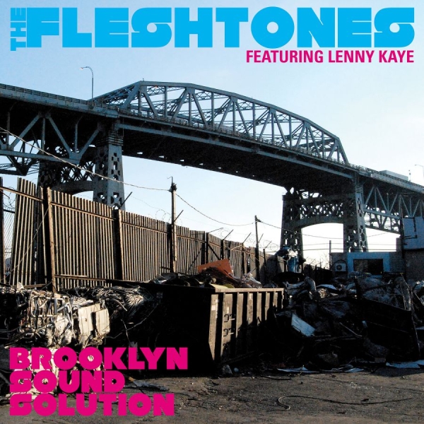 Fleshtones The - Brooklyn Sound Solution ryhmässä CD / Rock @ Bengans Skivbutik AB (641088)