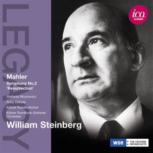 Mahler - Symphony No 2 ryhmässä Externt_Lager / Naxoslager @ Bengans Skivbutik AB (641426)