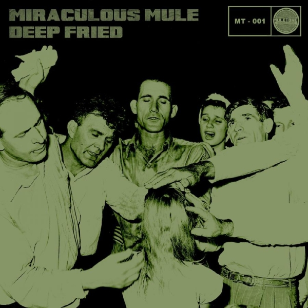 Miraculous Mule - Deep Fried ryhmässä CD / Myydyimmät @ Bengans Skivbutik AB (642801)